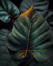 Green Leaf Design With Gold Lines On A Black Background