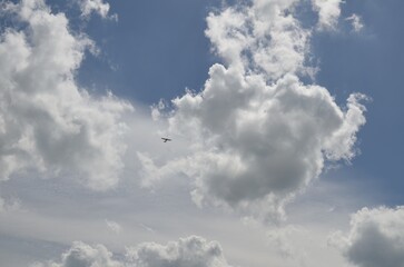 Wall Mural - Modern airplane flying in sky with clouds