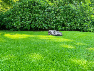 Sticker - Modern robot lawn mower on green grass in garden