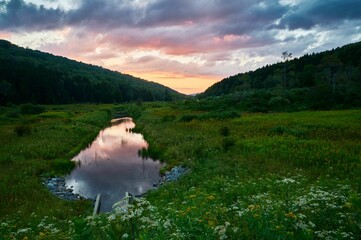 Wall Mural - Body of water in a green field in the beautiful Monongahela National Forest during a scenic sunset