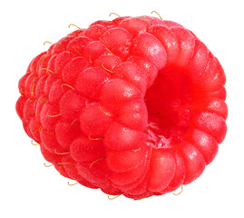 Wall Mural - Red Raspberry on white background, Fresh Raspberries on White Background PNG File.