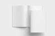 © muhammad - Realistic A4 Cover and opened magazine mockup blank