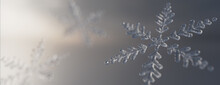 Snowflake Festive Background. Beautiful, Frosty Seasonal Banner With Copy-space.