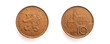 Czech Republic 10 Czech Koruna coin from with minting date 1993