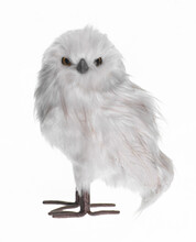Decorative White Owl Isolated On White Background
