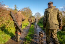 Back View Of Young Hunters Walking With Their Dogs In Nature