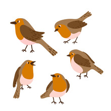 Cartoon Robin Bird Icon Set. Cute Winter Bird In Different Poses Collection. Vector Illustration For Prints, Clothing, Packaging, Stickers