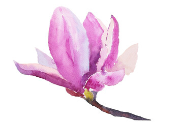 Watercolor illustration of hand painted seamless magnolia pattern