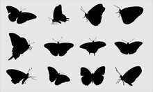Butterfly Silhouette Bundle Design, Beautiful Butterflies For Scrapbooking, Vector Clipart, Basis Graphics On White Background, EPS 10
