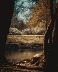 Beautiful mirror lake surrounded by the autumn trees in Slovak Republic