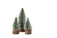 Mini Christmas Trees Isolated On White Background.