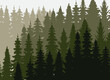 silhouette forest, nature spruce design