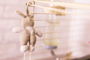 Beige rabbit doll in cage copy space - accessories and toys for pets and birds