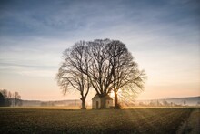 Trees And Chapel In The Field Against A Scenic Sunset