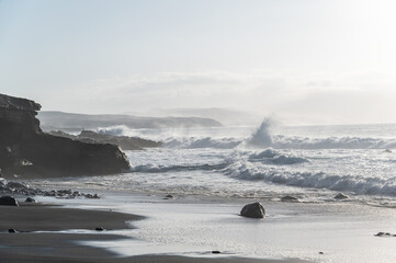 Canvas Print - waves on the beach in canarias