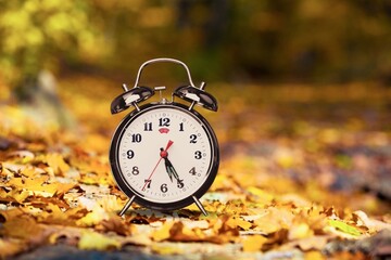 Wall Mural - Retro alarm clock in autumn forest