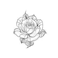 Wall Mural - Detailed sketch of a rose flower tattoo. Decorative elements for tattoo, greeting card, wedding invitation in engraving style.