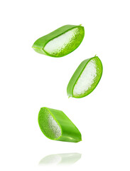 Sticker - Aloe vera plant isolated on white or transparent background. Slices of Aloe Vera leaf