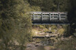 Brücke über einen Fluss im Erzgebirge, mystische Umgebung im Erzgebirge