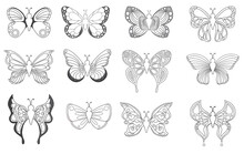 Set Of Butterflies On Picture
