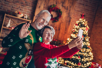 Wall Mural - Photo of two elderly positive partners hold cellphone make selfie arm wave video call newyear tree illumination indoors