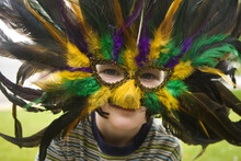 Portrait Of Boy In Mardi Gras Mask.