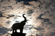 © Cavan Images - The silhouette of an elephant back lit against the setting sun is seen during a visit to Chiang Mai Zoo's famed