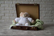 teddy bear sleeps inside a suitcase