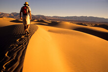 A Young Man Hikes Along The Stovepipe Wells Sand Dunes In Death Valley National Park, California.