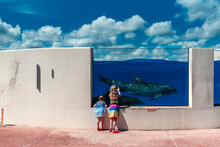 Girls Looking Into Dolphin Tank
