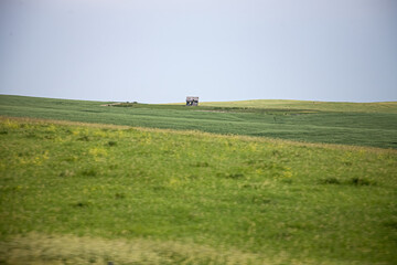Wall Mural - an old building stands across a prairie under gray skies