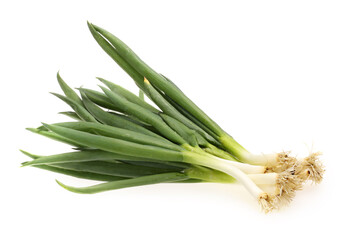 fresh green onions