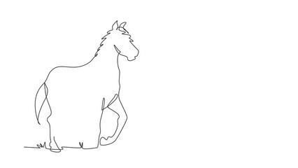 Sticker - Self drawing animation of single line draw running horse of Arabian stallion. Galloping purebred horse of Arabian breed. Horse racing, equestrian sport. Continuous line draw. Full length animated