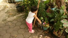 Toddler Asian Girl Playing In Simple House Yard