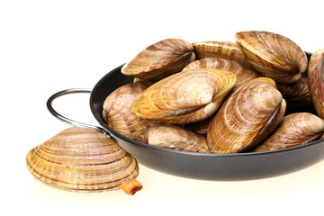 Poster - Stacked fresh raw clams on white background