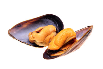 Canvas Print - mussels isolated on white background