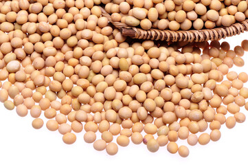 Wall Mural - Soybean background