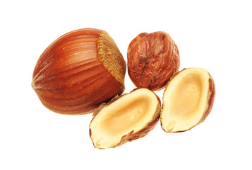 Wall Mural - Hazelnuts on white background