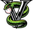 Aggressive Green Viper Wrapped Around Letter V with a Baseball ball into its Mouth