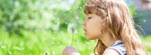 Cute Girl Blowing Dandelion Seed