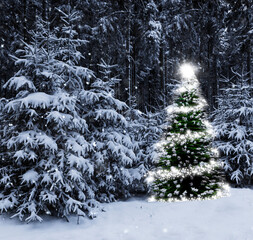 Wall Mural - Leuchtender Weihnachtsbaum in einem verschneiten winterwald