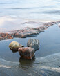 Close-up of rocky beach in the archipelago of Finland in autumn