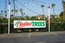 Christmas Tree Lot And Sign