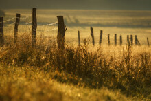 RURAL LANDSCAPE - An Old Fence On A Pasture In A Sunny Cool Morning
