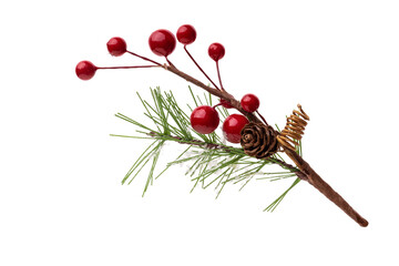 Wall Mural - Fir branch, with branches of red berries and snow isolated. christmas tree.Christmas green spruce branch. green fir tree branch, isolated on transparent background png	