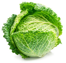 Fresh Green Savoy Cabbage Isolated On White Background.