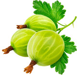 Gooseberry berries isolated