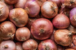 © ADDICTIVE STOCK - Assorted unpeeled onions in market