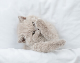Aufkleber - Cute kitten washing and cleaning itself under blanket on a bed at home. Top down view