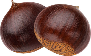 Wall Mural - Chestnut isolated